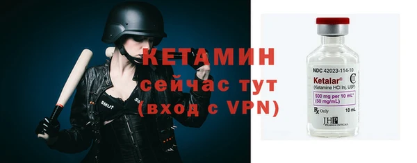крисы Дмитриев