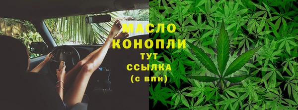 крисы Дмитриев
