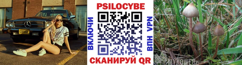 Псилоцибиновые грибы Psilocybine cubensis Пятигорск